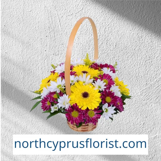 Gerbera Chrysanthemum Basket