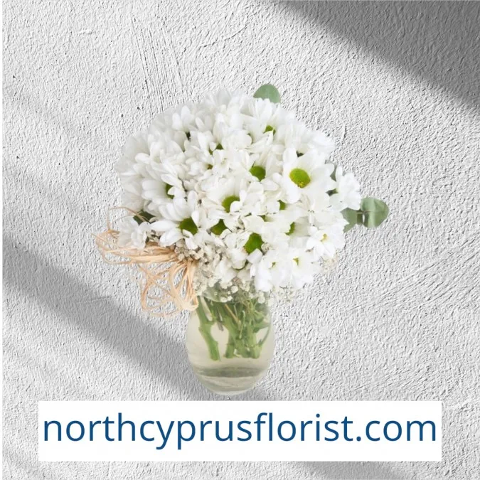 Daisy in Vase