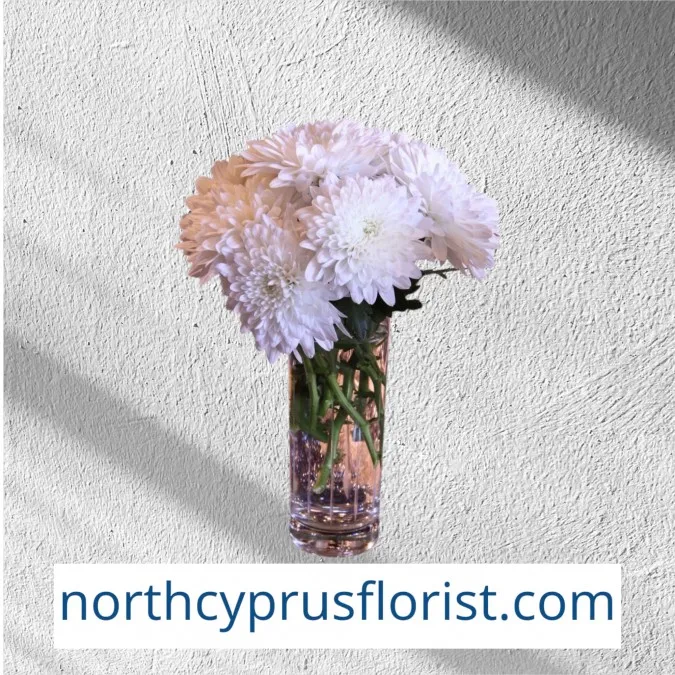 Chrysanthemum in Vase
